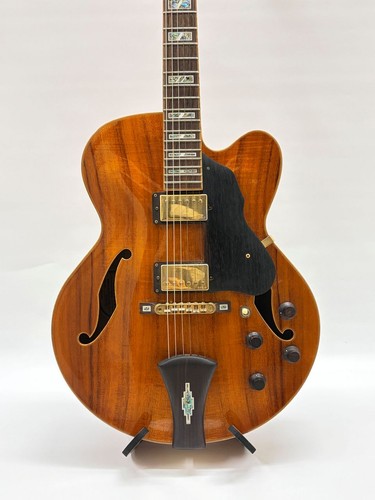 Ibanez artcore custom - ibanez,