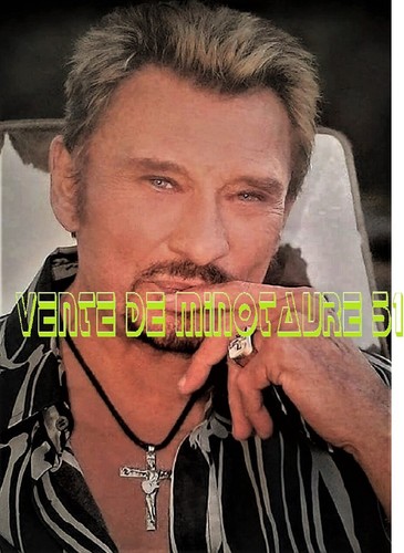 Johnny hallyday visage en - hallyday,