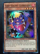 Carte Yu-Gi-Oh! WSUP-FR040
