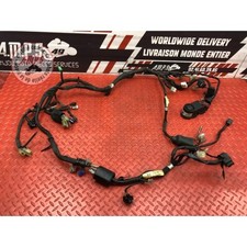 Faisceau électrique