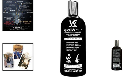 Shampooing watermans 250ml - shampooing,