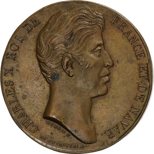 France médaille charles x - france,,