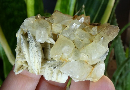 Calcite sur baryte pyrite - &,