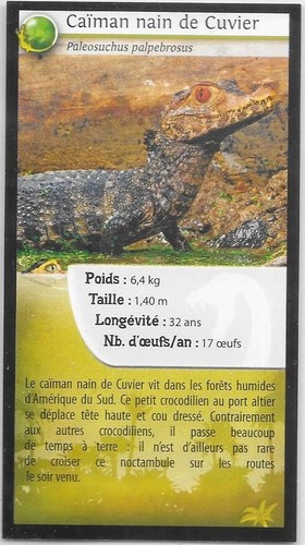 Carte quick reptiles - carte,