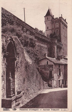 🦬Carte postale - Postcard -