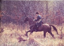 PHOTO Argentique, RC	France	chasse à courre vénerie cheval	24X30cm	1970