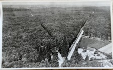 ? Ancienne photographie scolaire La Pie 29, 1950 - Forêt Tronçais, Bourbonnais