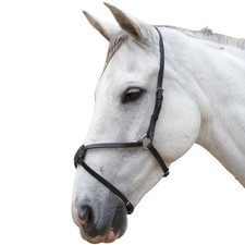 Hy - Muserolle croisée pour