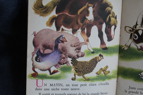 Livre imagerie des - l'imagerie,