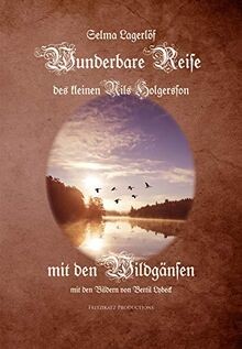 Wunderbare reise des kleinen - wunderbare,