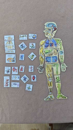 Magnifique rare lot magnet - lot,