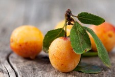 Vieilles Cuvées Eau De Vie de