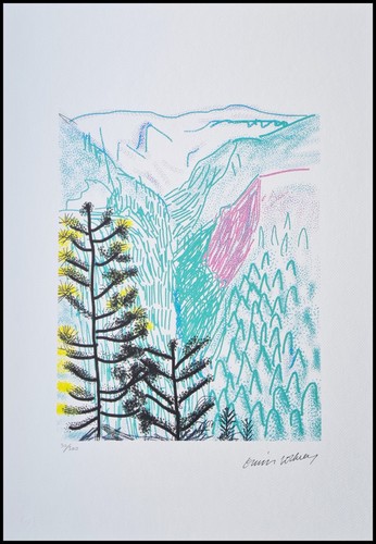 David hockney yosemite - le, *