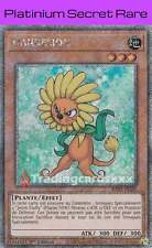 Yu-Gi-Oh! Dandelion : PN RA03-FR211