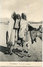  CARTE POSTALE / POSTCARD ALGERIE / SAHARA TROIS PETITS MORICAUDS