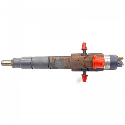 Kerax midlum tp1995621 - kerax, ,