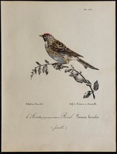 1830 sizerin flammé - flammé,