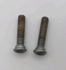 Paire de vis de fixation