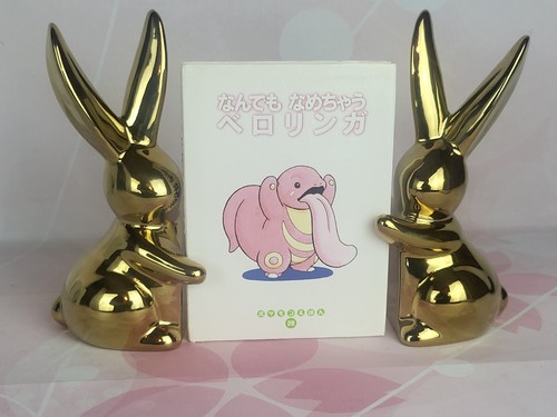 Livre photo japonais 1er