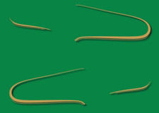 KAWASAKI Z 1000 A2 1978 -