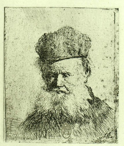 Vieillard grande barbe - a,