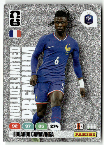 Panini fifa world cup - fifa,