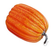 Citrouille Géante En Mousse