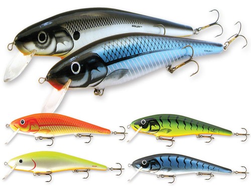 Goldy great mate 21cm - mate, /