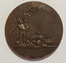 Médaille Bronze J.DELPECH Société Agriculture Sciences Arts Et Commerce Charente