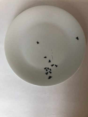Assiette aux mouches - assiette,