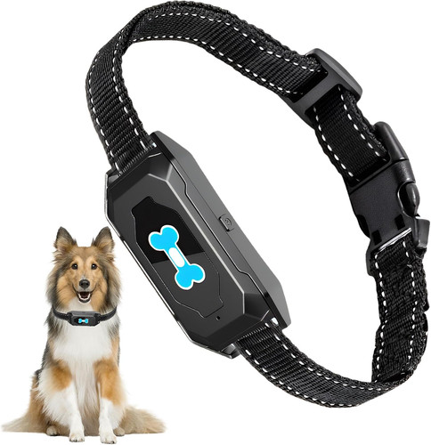 Collier anti aboiement chien - aboiement,