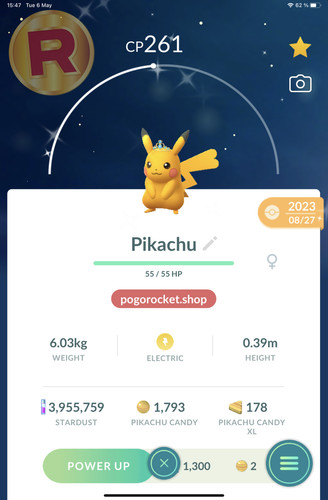 Shiny pikachu blue tiara - shiny,