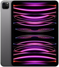 APPLE iPad Pro 11" (2022) Wi-Fi 8 Go 512 Go (gris sidéral) MNXH3FD/A