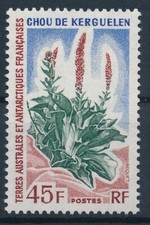 Timbre  TAAF/FSAT 48** Chou de