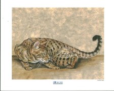 Publicité ancienne chat Danielle Beck éditions Atlas sur beau papier canson