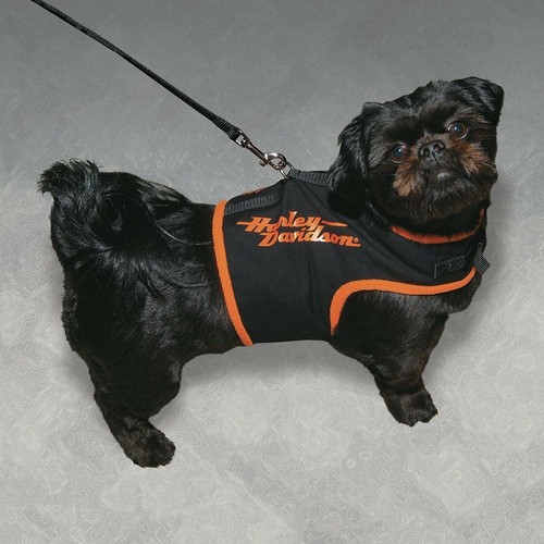 Gilet manteau chien - gilet, harley