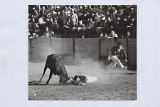 Michel Helson - Courses landaises - Société française de photographie