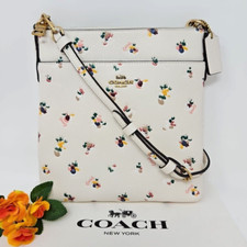 🌟🌷Coach Kitt With Paint