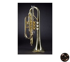 Yamaha Custom Cornet YCR-8335