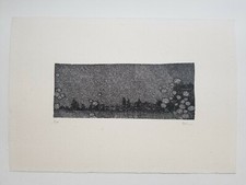 Nicolas POIGNON, Landscape - Licken. 2001-2002. Gravure sur linoléum.