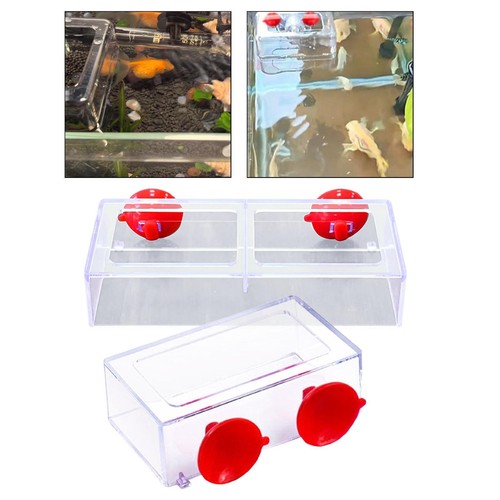 Nourning ring aquarium - ,