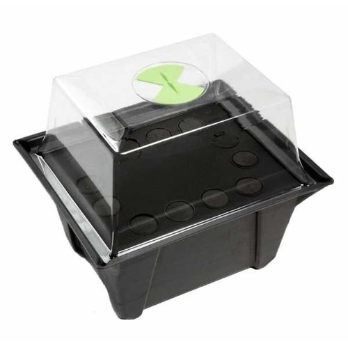 Stream propagator plantes - x-stream,