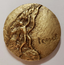 Médaille L' ENVOL bronze EADS industrie aéronautique spaciale et défense AIRBUS