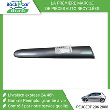 🏆 PROTECTION AILE ARRIERE