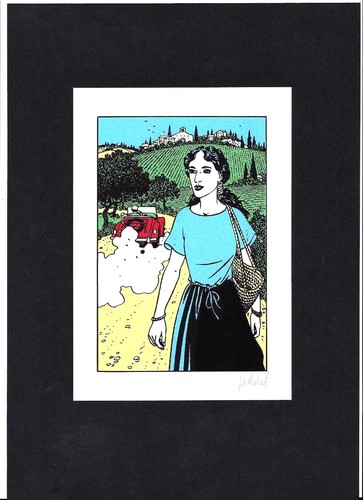 Juillard vies epervier - epervier, /