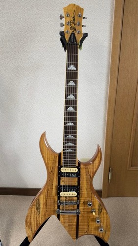 Electric guitar rich - b.c.,