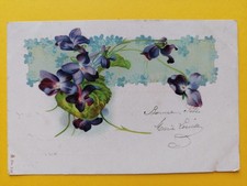 CPA Illustration VIOLETTES