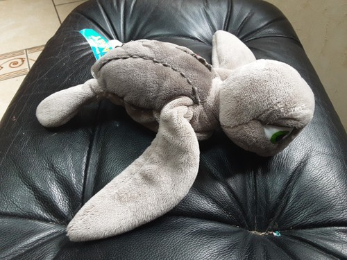 Doudou peluche tortue grise - ,