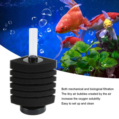 Filtre aquarium en éponge - d'aquarium,