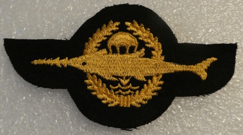 Etrangers brevet nageurs - etrangers,